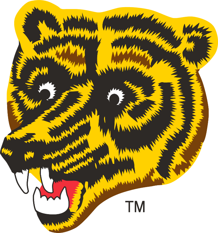 Boston Bruins 1976-1995 Alternate Logo DIY iron on transfer (heat transfer)